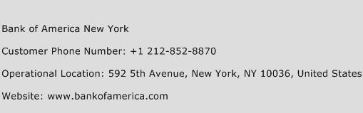 Bank of America New York Phone Number Customer Service